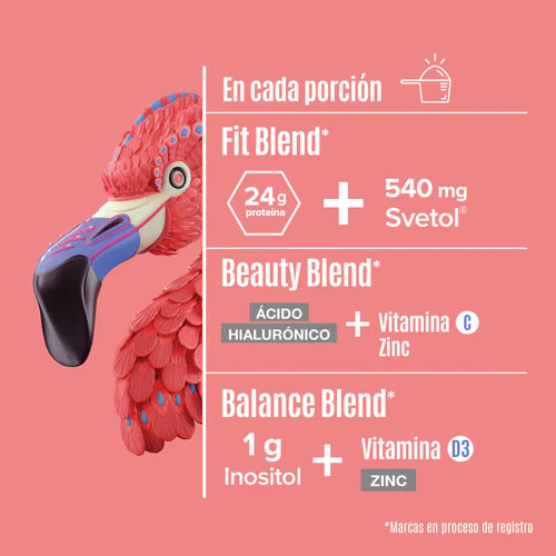 Fitmingo Protein
