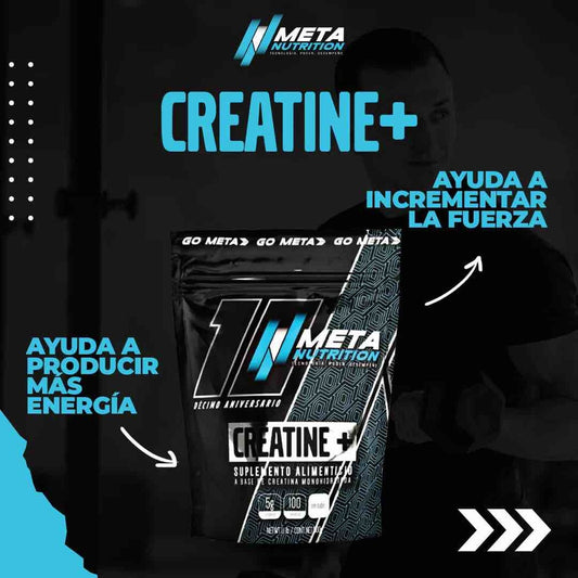 META CREATINA 500G